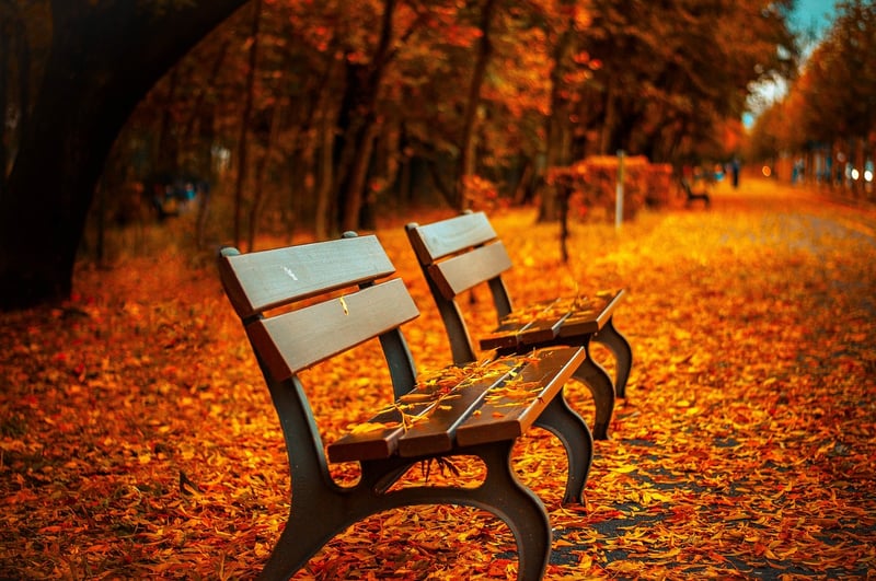 Repurposed Garden Bench